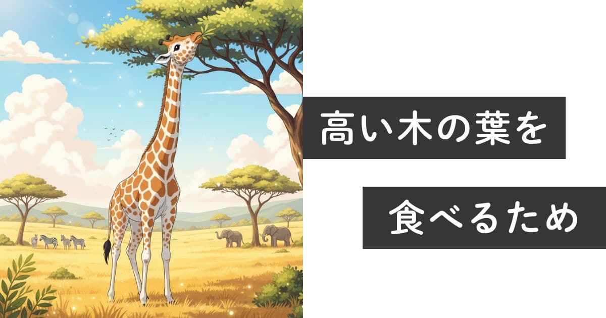 キリンの首はなぜ長いのか？3つの説と意外なデメリットを解説 