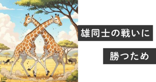 キリンの首はなぜ長いのか？3つの説と意外なデメリットを解説 