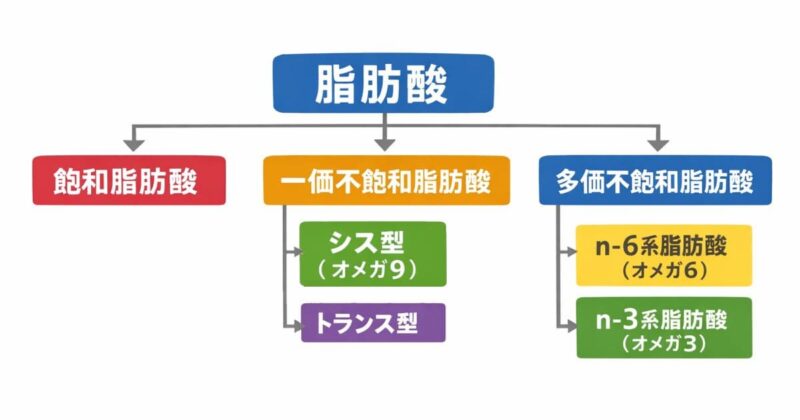 トランス脂肪酸は一価不飽和脂肪酸のトランス型のこと