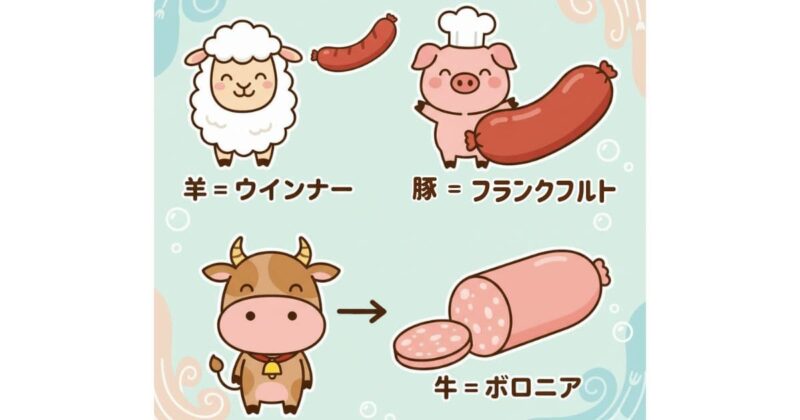 羊の腸はウィンナー、豚の腸はフランクフルト、牛の腸はボロニア